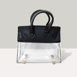 Mini Handbag Style Airpods case with Crossbody Chain